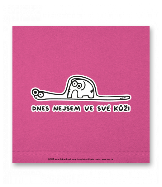 OBRAZ DO INTERIÉRU 110x110cm