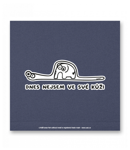 OBRAZ DO INTERIÉRU 110x110cm