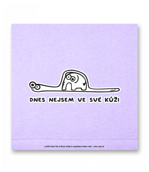 OBRAZ DO INTERIÉRU 110x110cm