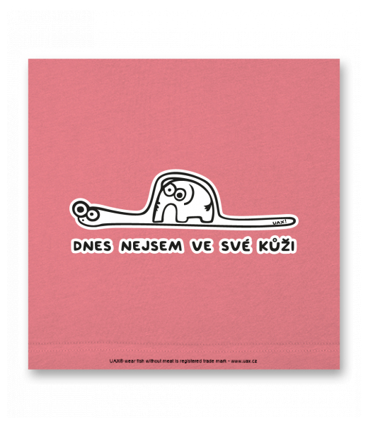 OBRAZ DO INTERIÉRU 110x110cm