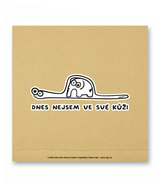 OBRAZ DO INTERIÉRU 110x110cm