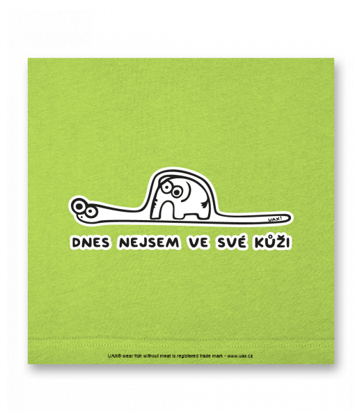 OBRAZ DO INTERIÉRU 110x110cm