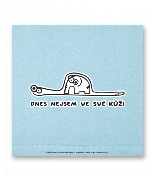 OBRAZ DO INTERIÉRU 110x110cm