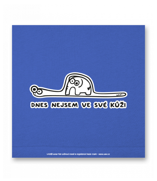 OBRAZ DO INTERIÉRU 110x110cm