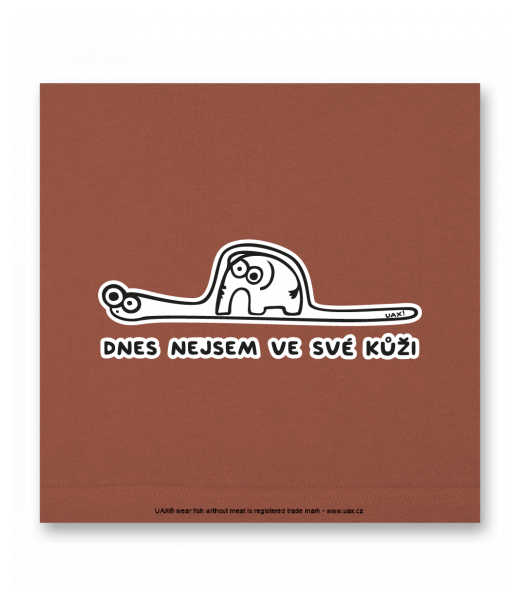 OBRAZ DO INTERIÉRU 110x110cm