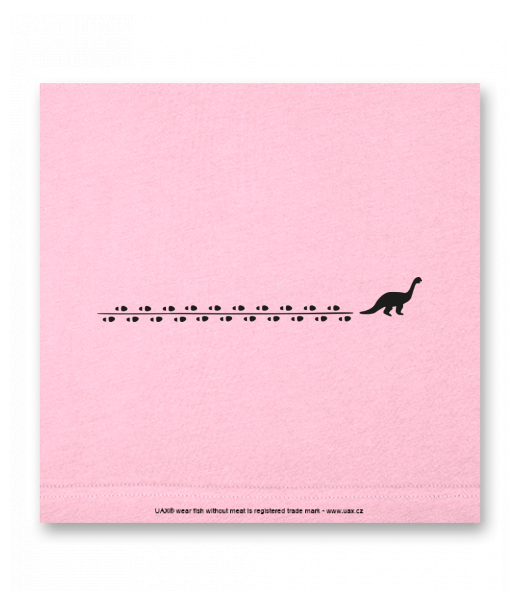 OBRAZ DO INTERIÉRU 110x110cm