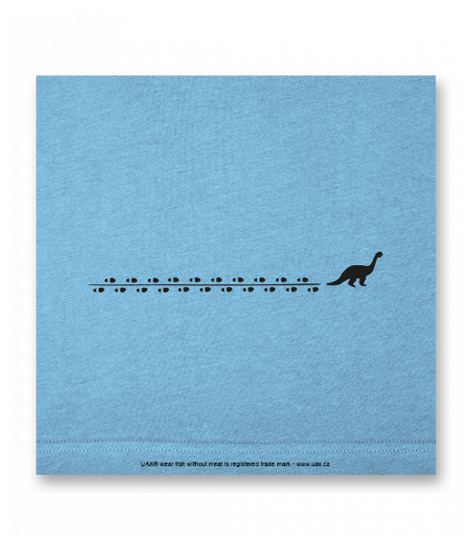 OBRAZ DO INTERIÉRU 110x110cm