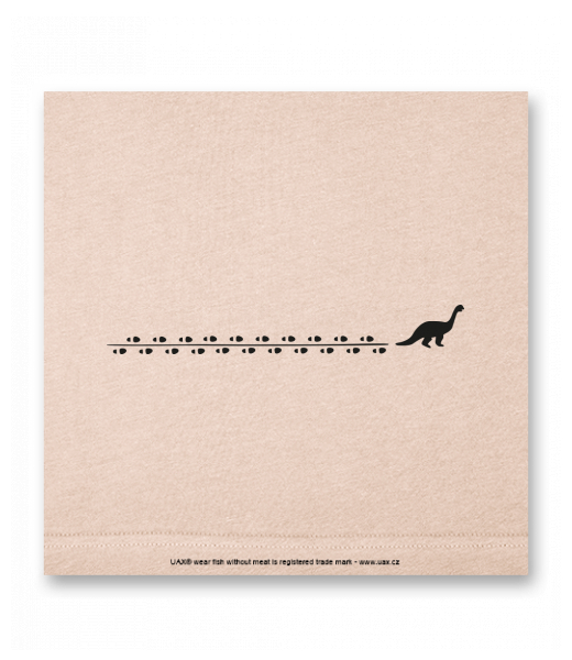 OBRAZ DO INTERIÉRU 110x110cm