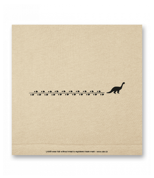 OBRAZ DO INTERIÉRU 110x110cm