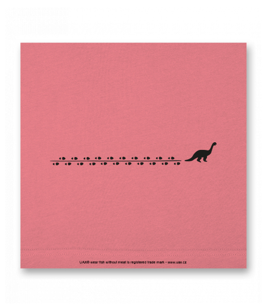 OBRAZ DO INTERIÉRU 110x110cm