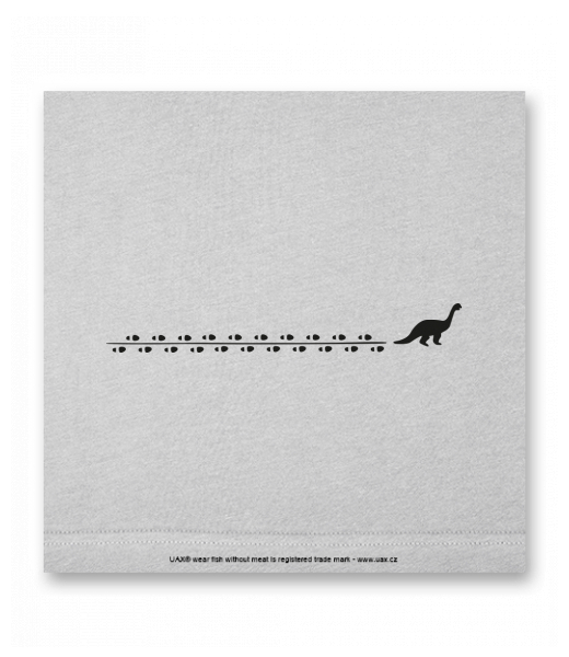 OBRAZ DO INTERIÉRU 110x110cm