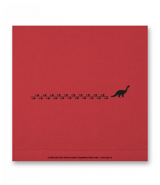 OBRAZ DO INTERIÉRU 110x110cm