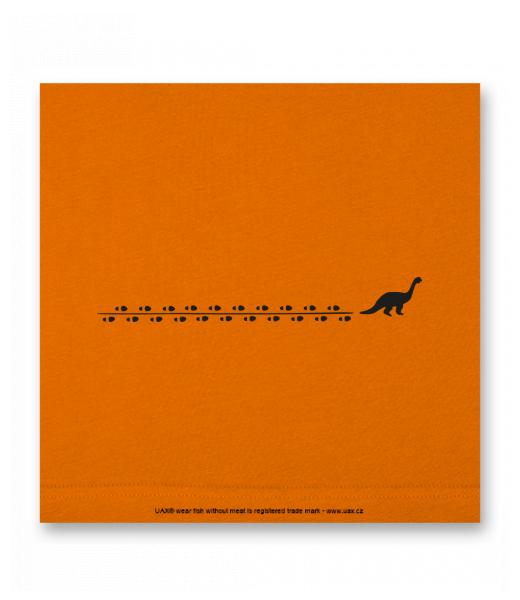 OBRAZ DO INTERIÉRU 110x110cm