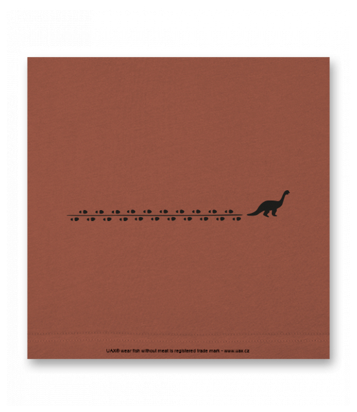 OBRAZ DO INTERIÉRU 110x110cm