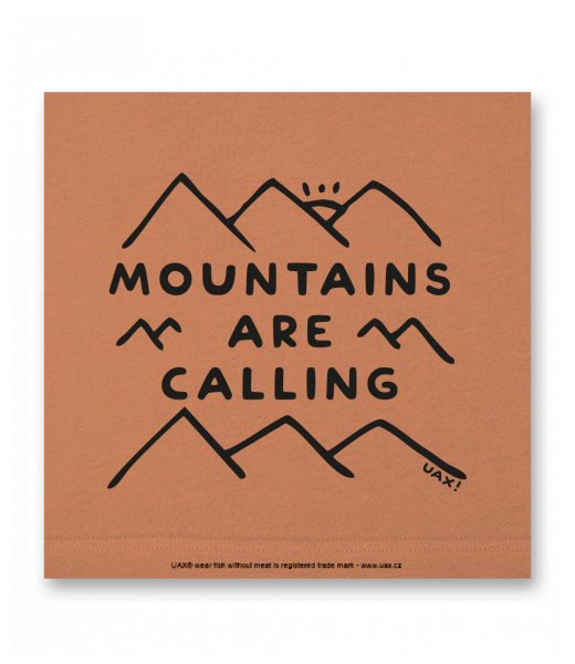 OBRAZ DO INTERIÉRU 110x110cm