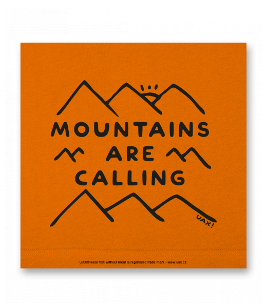 OBRAZ DO INTERIÉRU 110x110cm