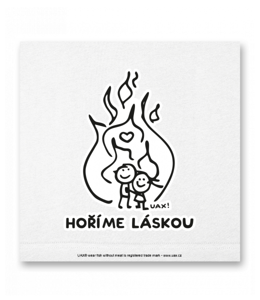 OBRAZ DO INTERIÉRU 110x110cm