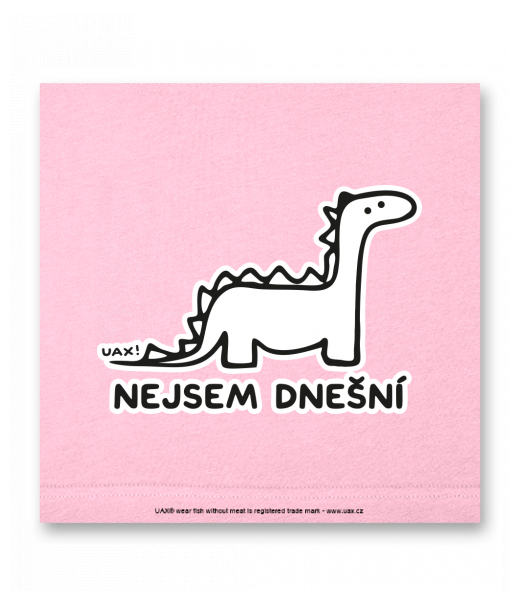 OBRAZ DO INTERIÉRU 110x110cm