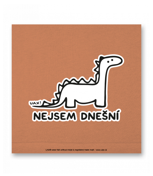 OBRAZ DO INTERIÉRU 110x110cm