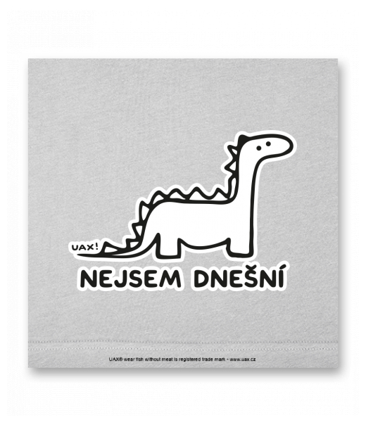 OBRAZ DO INTERIÉRU 110x110cm