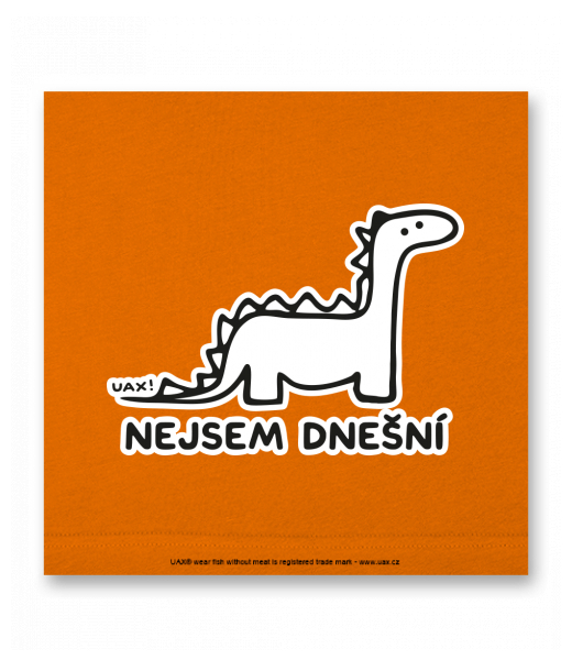 OBRAZ DO INTERIÉRU 110x110cm