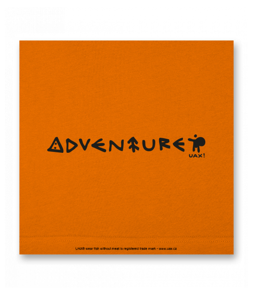 OBRAZ DO INTERIÉRU 110x110cm