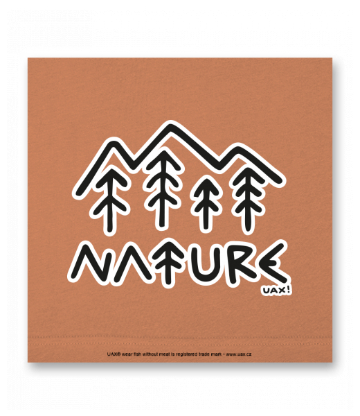 OBRAZ DO INTERIÉRU 110x110cm