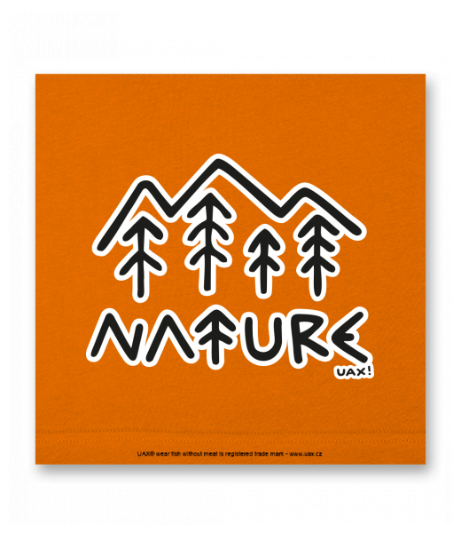 OBRAZ DO INTERIÉRU 110x110cm