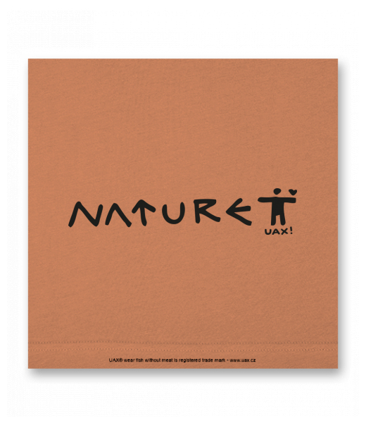 OBRAZ DO INTERIÉRU 110x110cm