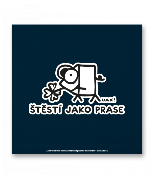 OBRAZ DO INTERIÉRU 110x110cm