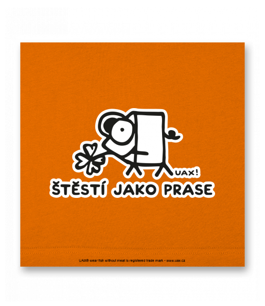 OBRAZ DO INTERIÉRU 110x110cm