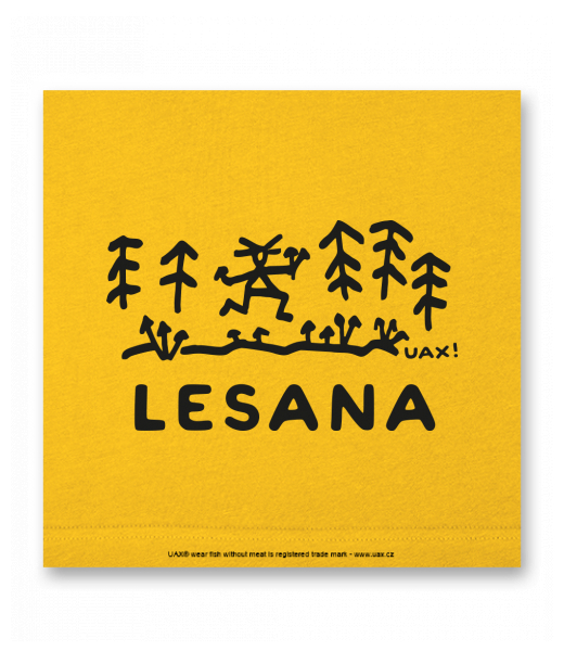 OBRAZ DO INTERIÉRU 110x110cm