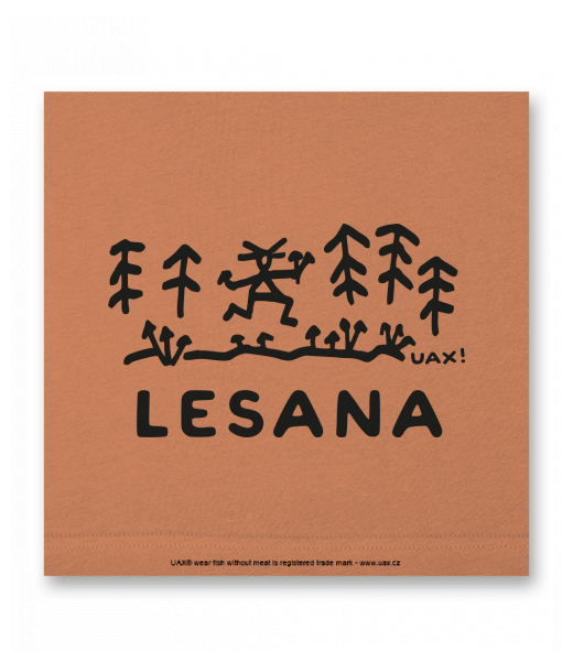 OBRAZ DO INTERIÉRU 110x110cm