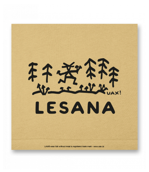 OBRAZ DO INTERIÉRU 110x110cm