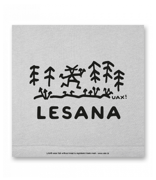 OBRAZ DO INTERIÉRU 110x110cm