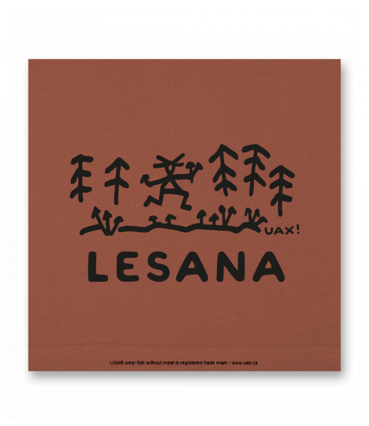 OBRAZ DO INTERIÉRU 110x110cm