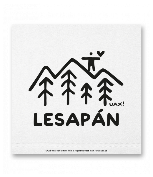 OBRAZ DO INTERIÉRU 110x110cm