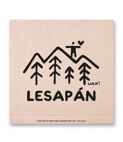 OBRAZ DO INTERIÉRU 110x110cm