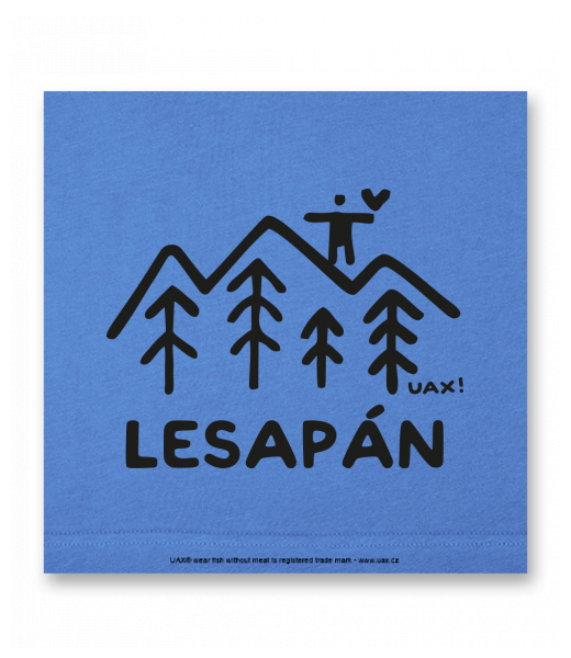 OBRAZ DO INTERIÉRU 110x110cm