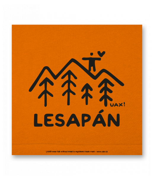 OBRAZ DO INTERIÉRU 110x110cm