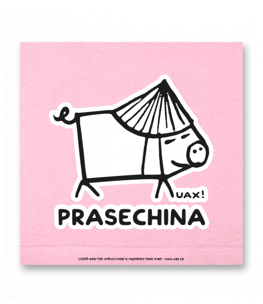 OBRAZ DO INTERIÉRU 110x110cm