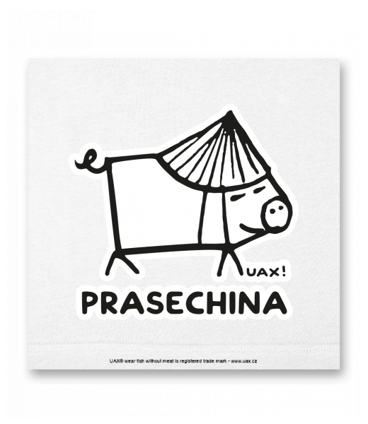 OBRAZ DO INTERIÉRU 110x110cm