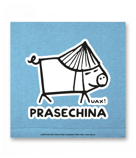 OBRAZ DO INTERIÉRU 110x110cm