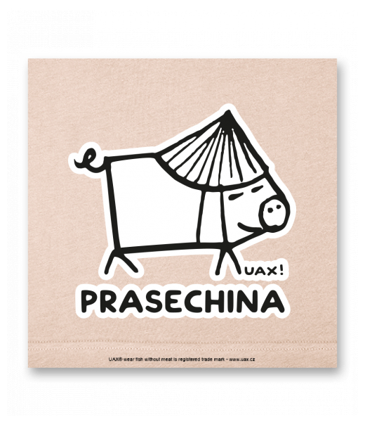 OBRAZ DO INTERIÉRU 110x110cm