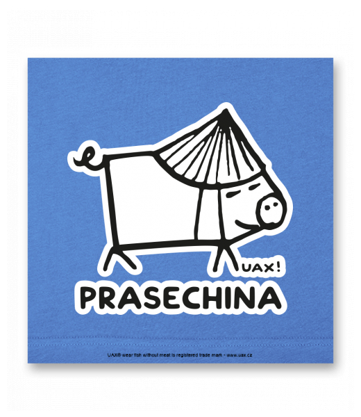 OBRAZ DO INTERIÉRU 110x110cm