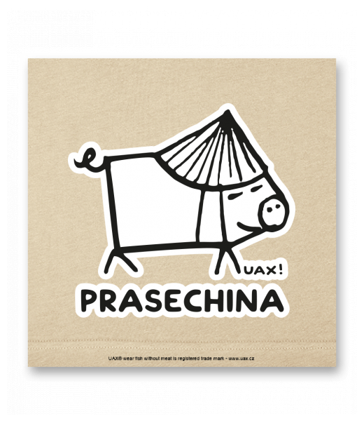 OBRAZ DO INTERIÉRU 110x110cm