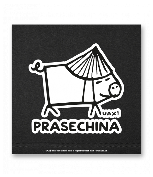 OBRAZ DO INTERIÉRU 110x110cm