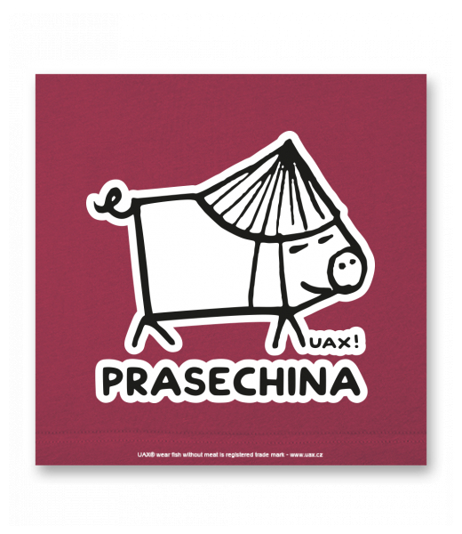 OBRAZ DO INTERIÉRU 110x110cm