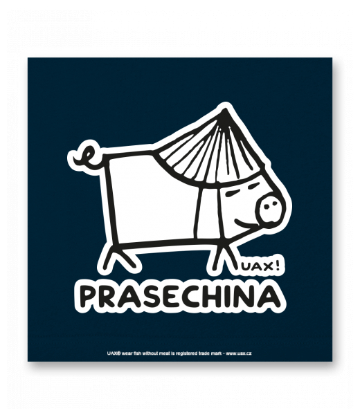 OBRAZ DO INTERIÉRU 110x110cm