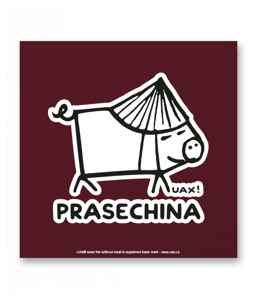 OBRAZ DO INTERIÉRU 110x110cm